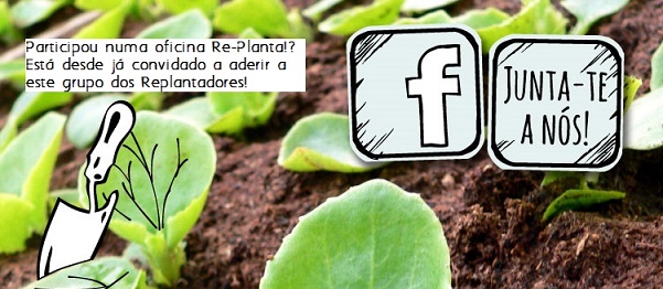 Grupo dos replantadores já online