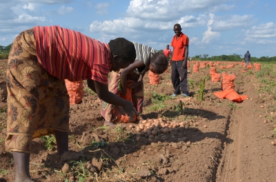 Investimento em pequenos agricultores é a melhor maneira de superar a pobreza, aponta relatório da ONU.