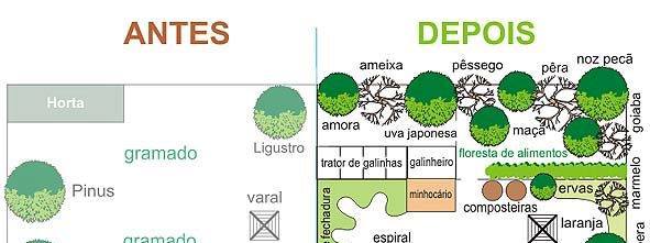 Sugestão de design para o seu jardim