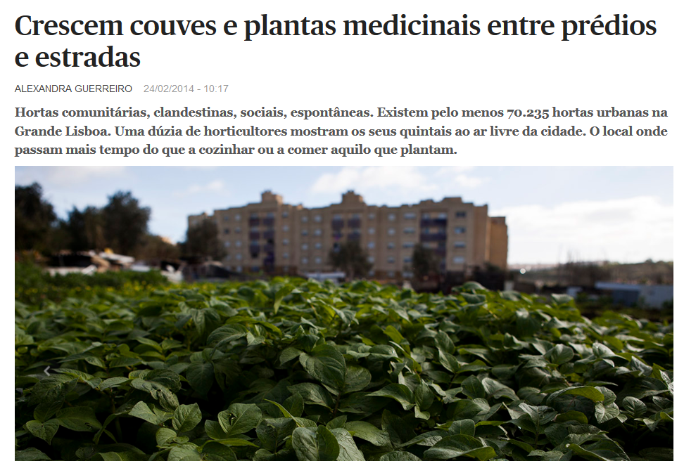 Seja qual for o seu motivo, cultive!