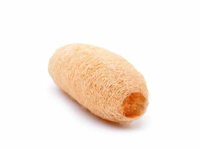 Uma prima da abóbora que lava a louça.