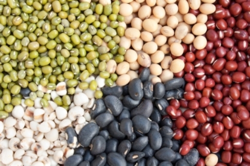 Alimentos esquecidos