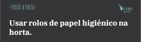 Como usar rolos de papel para semear