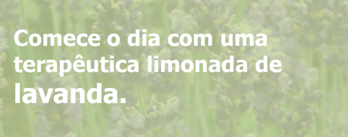 Aromatize a sua água com lavanda e relaxe