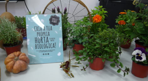 As oficinas Re-Planta estão de volta!