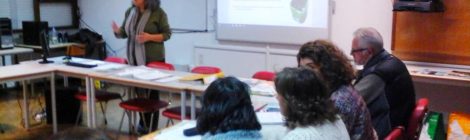 Formação aos professores já começou