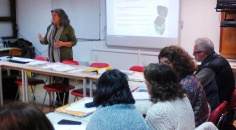 Formação aos professores já começou