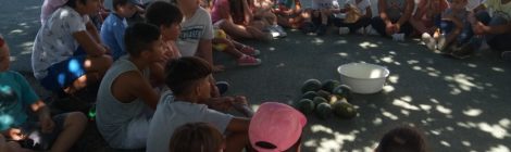 A escola de S. Mateus já tem o seu próprio composto!