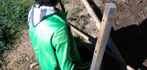 Escola do Caldeiro já dá os primeiros passos na agricultura biológica