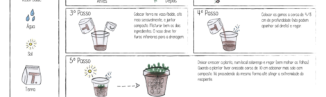 Passo a passo Re-Planta!