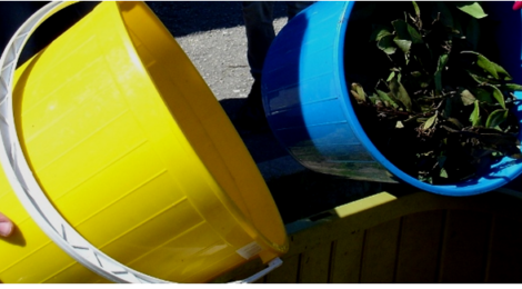 Em Vendas Novas já se Re-Planta!