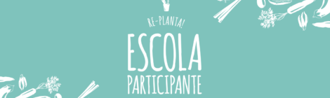 Projetos das escolas no âmbito do programa educativo, em fotografia