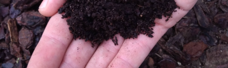 Relembrar a compostagem